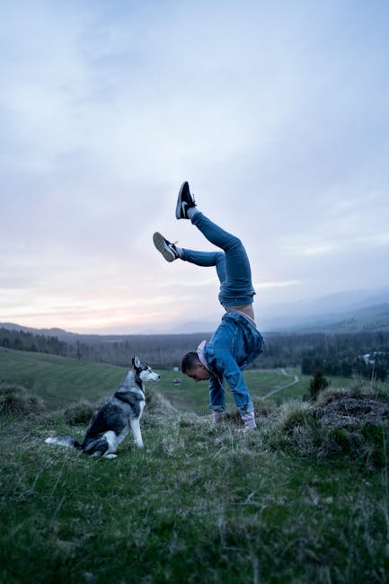Man doing yoga on the grass during a colorful sunset.